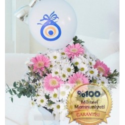 Balonlu Papatya ve Gerbera