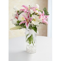 Pembe-Beyaz-Gerbera